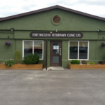 screen-shot-2016-10-22-at-10-53-33-am