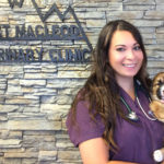 jen-enzie-assocaite-vet