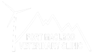 Fort Macleod Veterinary Clinic